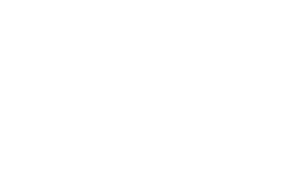 Birkla Investment Group